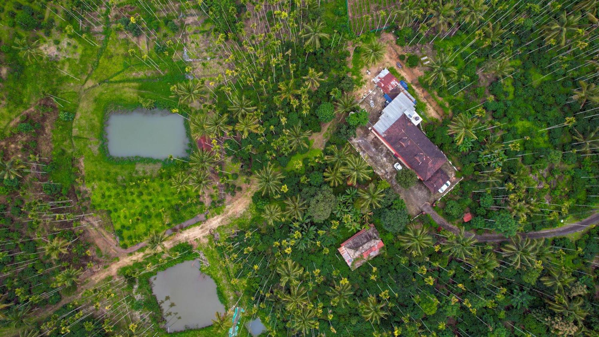 Ferienwohnung Wayanad Palm Grove Retreat G Floor Sultan Bathery Exterior foto