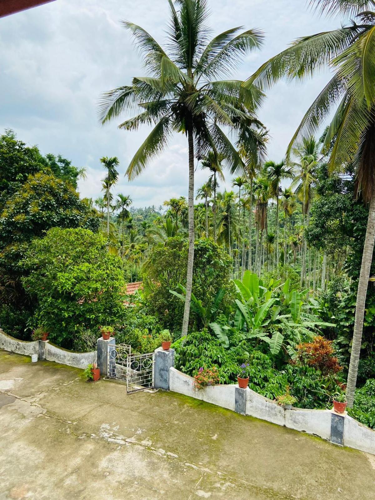 Ferienwohnung Wayanad Palm Grove Retreat G Floor Sultan Bathery Exterior foto